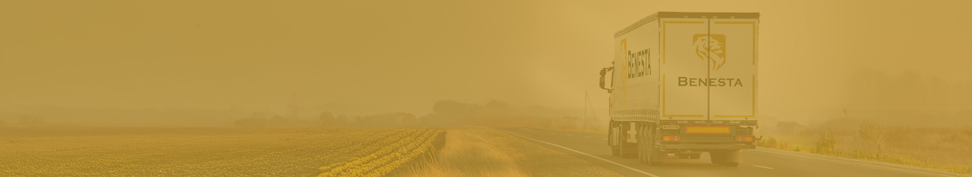 bg_image